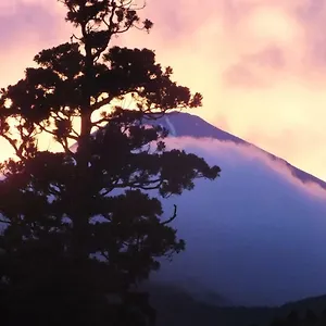 Ryokan (tradycyjny japoński pensjonat lub zajazd) Hananoyado Fukuya Hakone